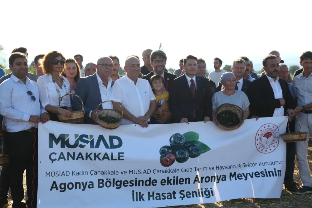 ARONYA MEYVESİ
